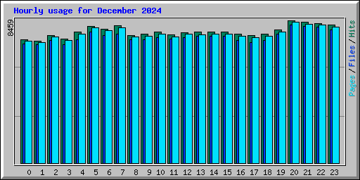 Hourly usage for December 2024