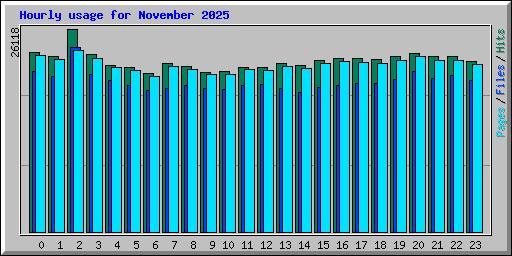 Hourly usage for November 2025