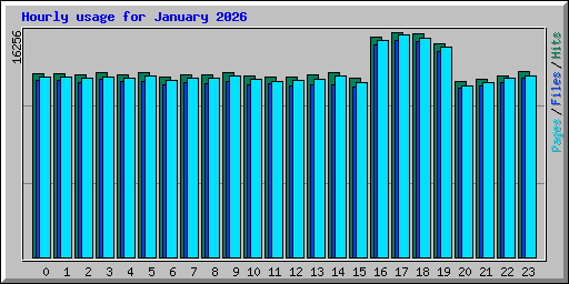 Hourly usage for January 2026