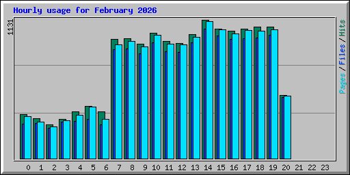 Hourly usage for February 2026